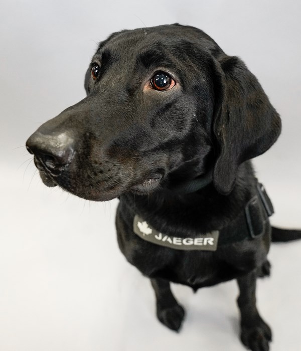Jaeger